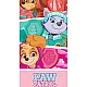 ΠΕΤΣΕΤΑ ΘΑΛΑΣΣΗΣ MICROFIBER 70x140cm PAW PATROL 4898 ΡΟΖ