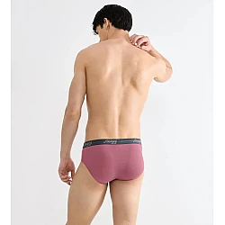 Ανδρικό Εσώρουχο Σλιπ Βαμβάκι 2 PACK SLOGGI MEN MIDI START 10206949-M021 ΜΠΛΕ-ΜΠΟΡΝΤΟ