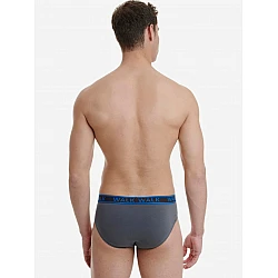 Ανδρικό βαμβακερό εσώρουχο Slip 2Pack Walk W1757-4712 Ρουά/Γκρι