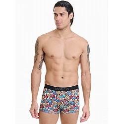 Ανδρικό βαμβακερό εσώρουχο με σχέδιο Boxer Walk W1754-11 MULTICOLOUR