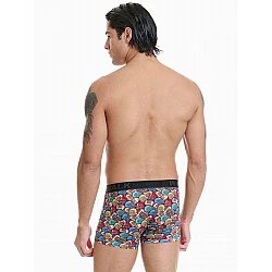 Ανδρικό βαμβακερό εσώρουχο με σχέδιο Boxer Walk W1754-11 MULTICOLOUR