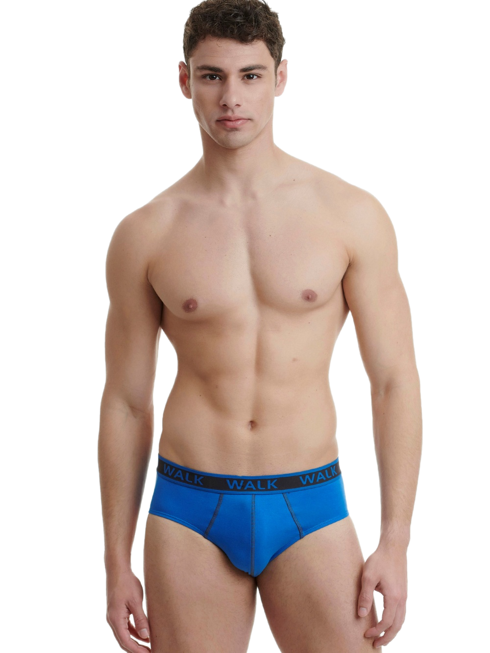 Ανδρικό βαμβακερό εσώρουχο Slip 2Pack Walk W1757-4712 Ρουά/Γκρι