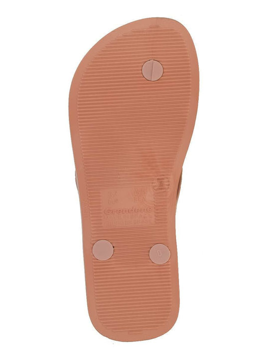 Γυναικεία Σαγιονάρα CLASSICA BRASIL I 36-42 80408-AI828 IPANEMA 780-23329-27 PINK-PINK